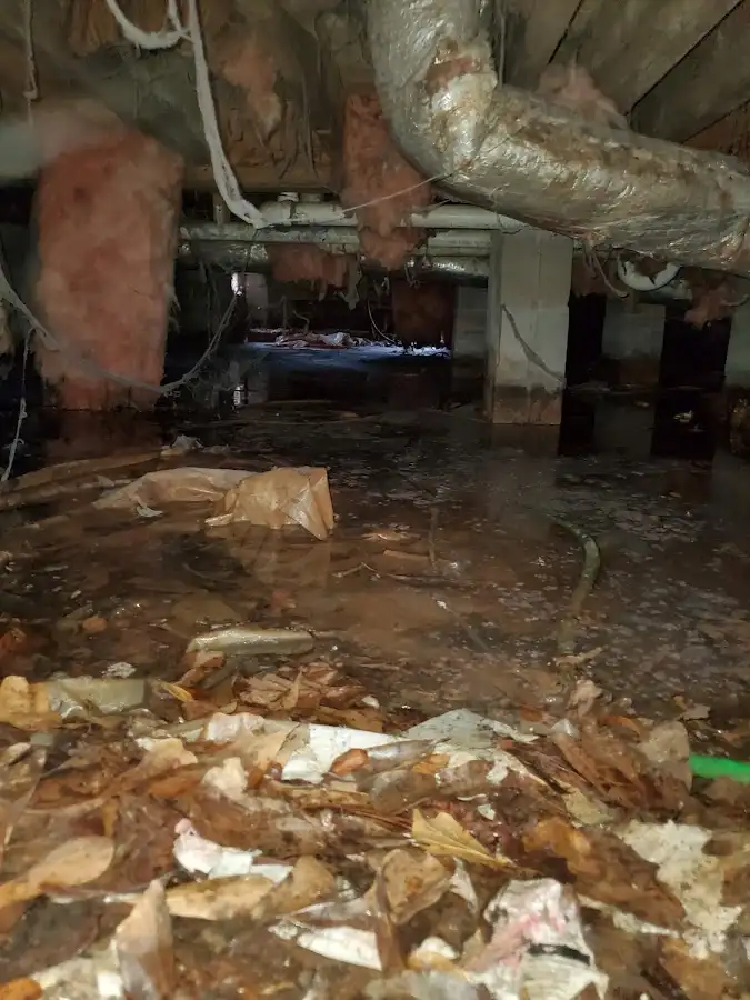 Crawl space flood assessment for Leak Detection & Repair in North Ogden